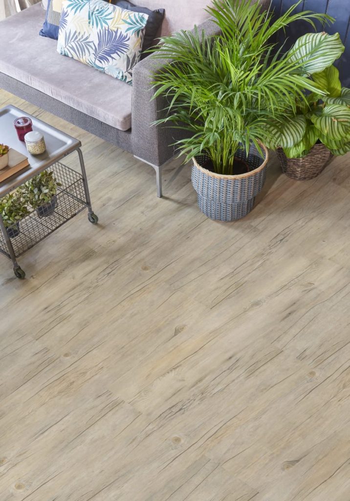 PHOTO-2020-01-20-09-59-29